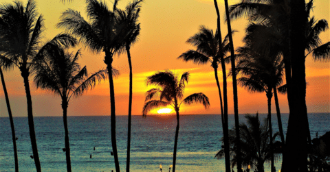 13句夏威夷格言，让你的生活更充实